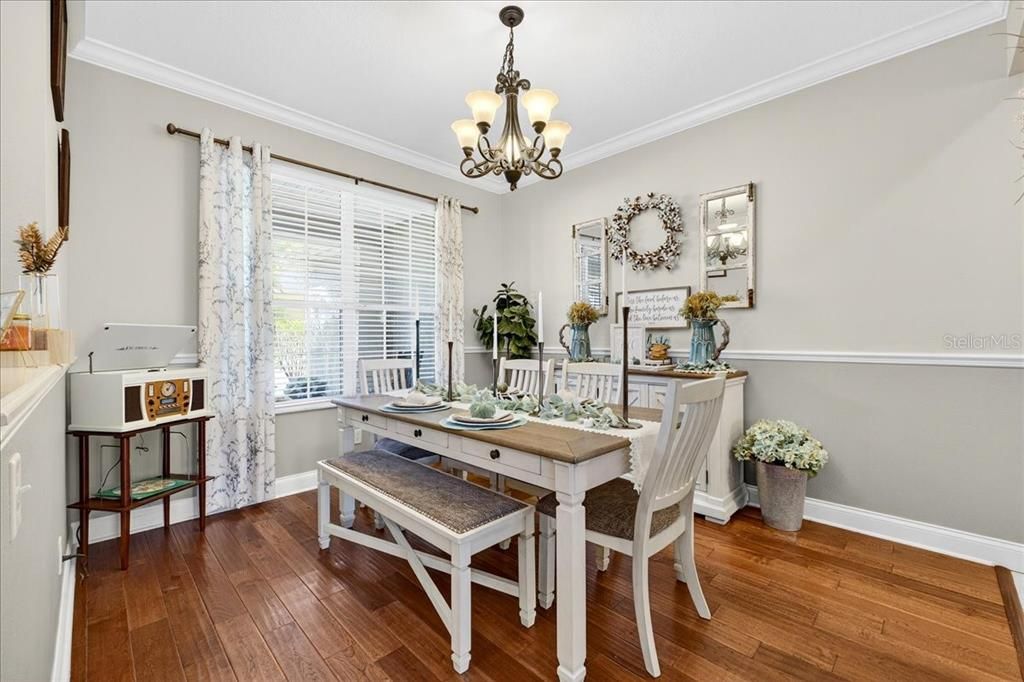 Chandelier, Dining room, Interior, Wood Texture Flooring