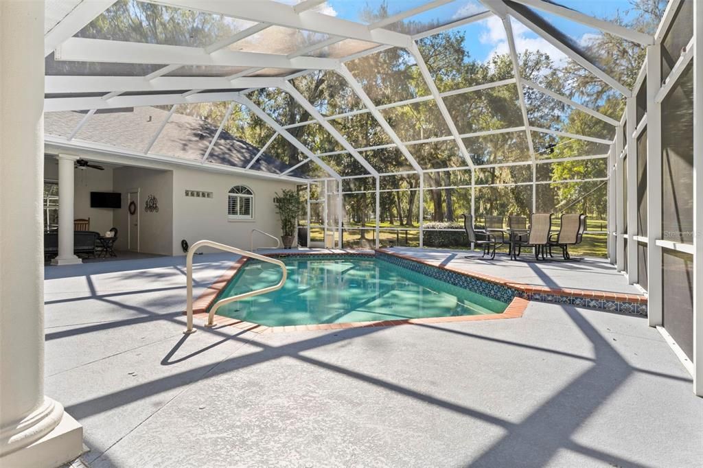 Glass Ceilings, Interior, Pool, Sun Room