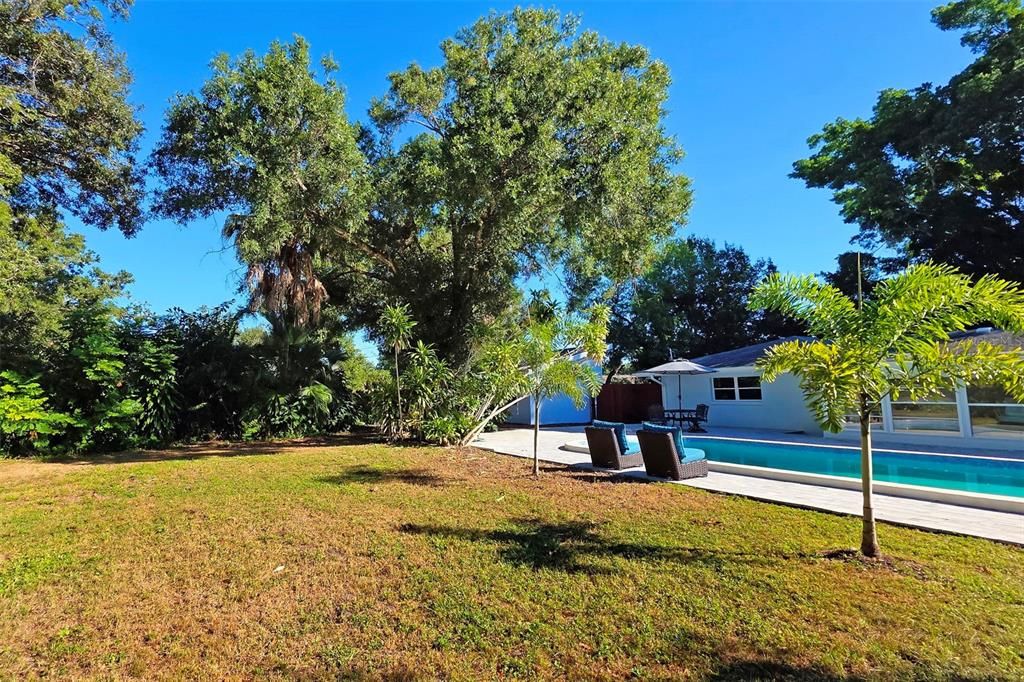 Backyard, Exterior, Pool