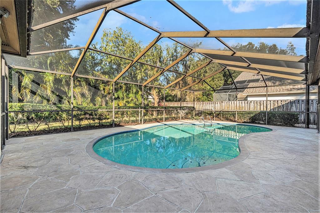 Glass Ceilings, Interior, Pool, Sun Room