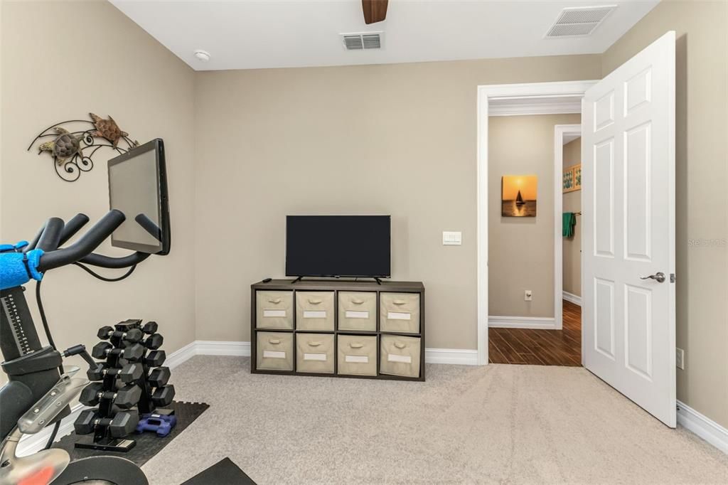 Fitness Equipment, Interior, Wood Texture Flooring