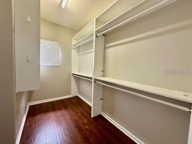 Interior, Walk-in Closets, Wood Texture Flooring