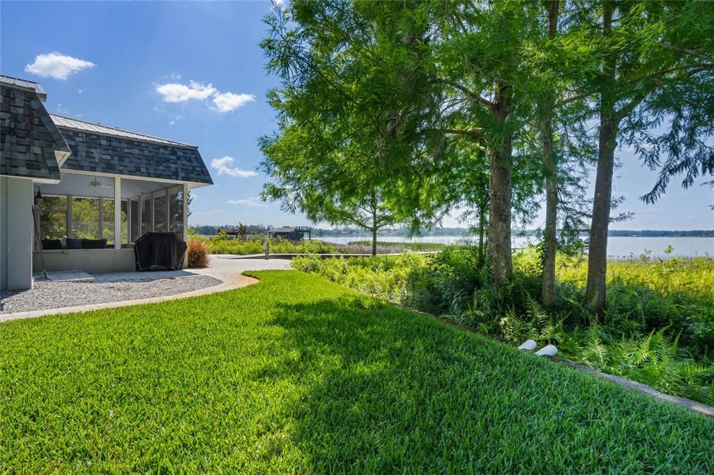 Backyard, Exterior, Water