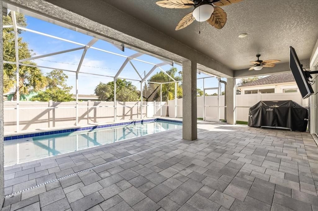 Glass Ceilings, Interior, Pool, Sun Room