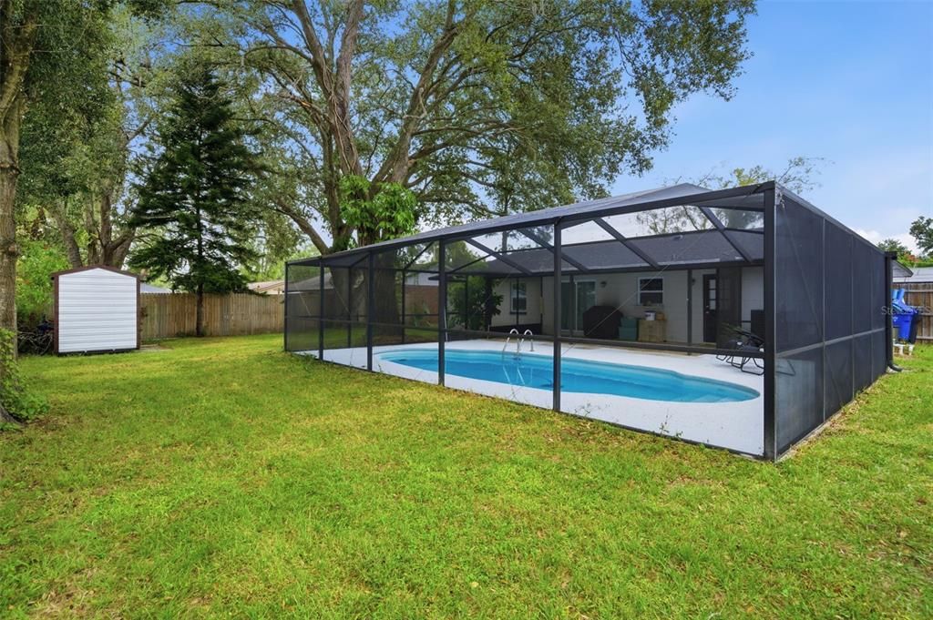 Backyard, Exterior, Pool