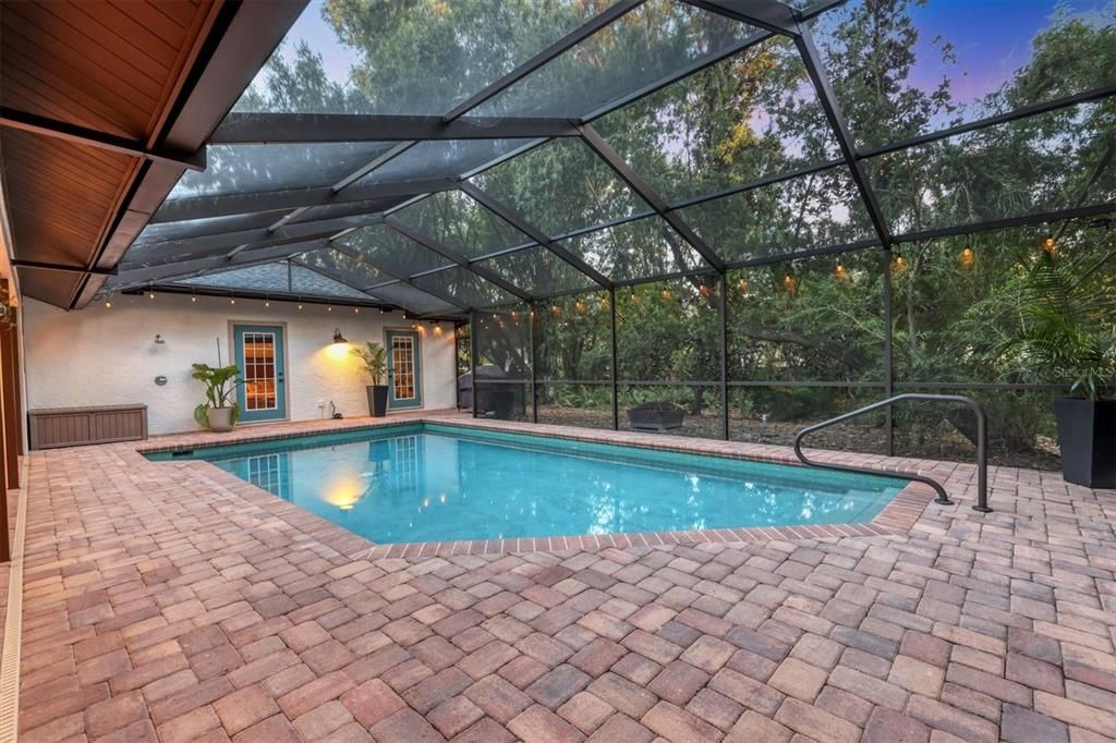 Glass Ceilings, Interior, Pool, Sun Room