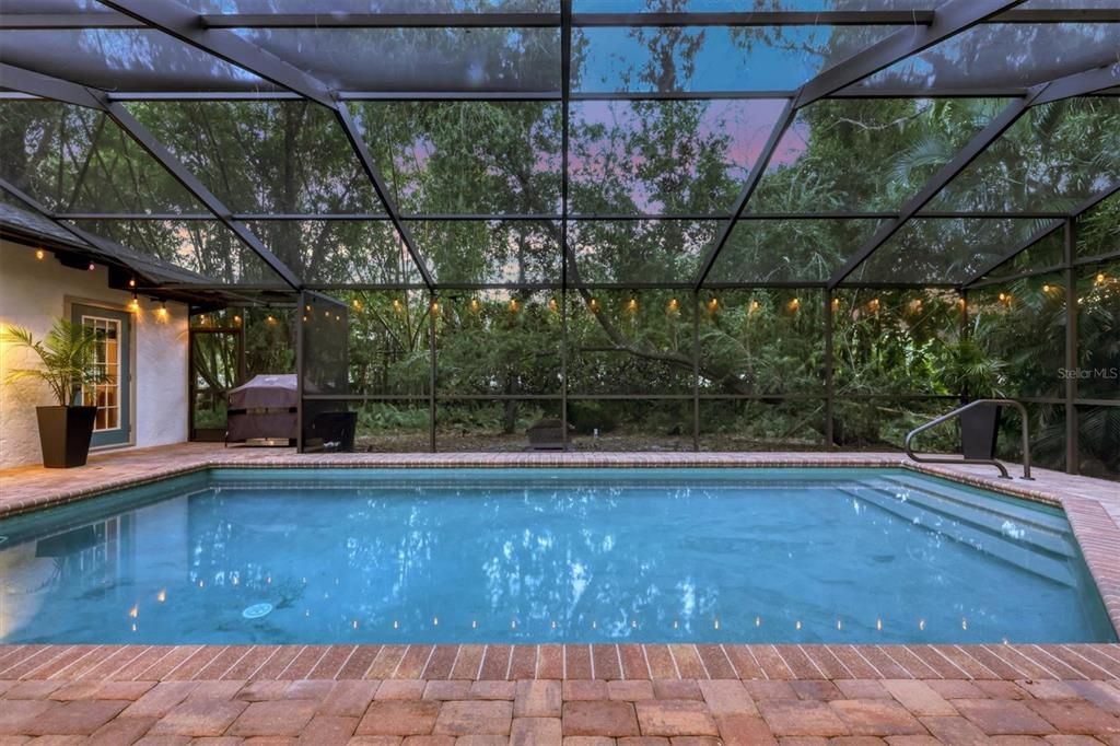 Glass Ceilings, Interior, Pool, Sun Room