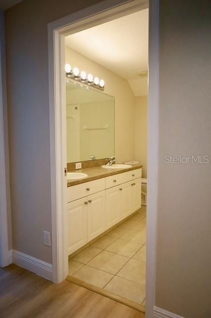 Bathroom, Dual Sink Vanities, Interior, Wood Texture Flooring