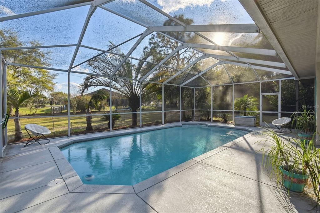Glass Ceilings, Interior, Pool, Sun Room