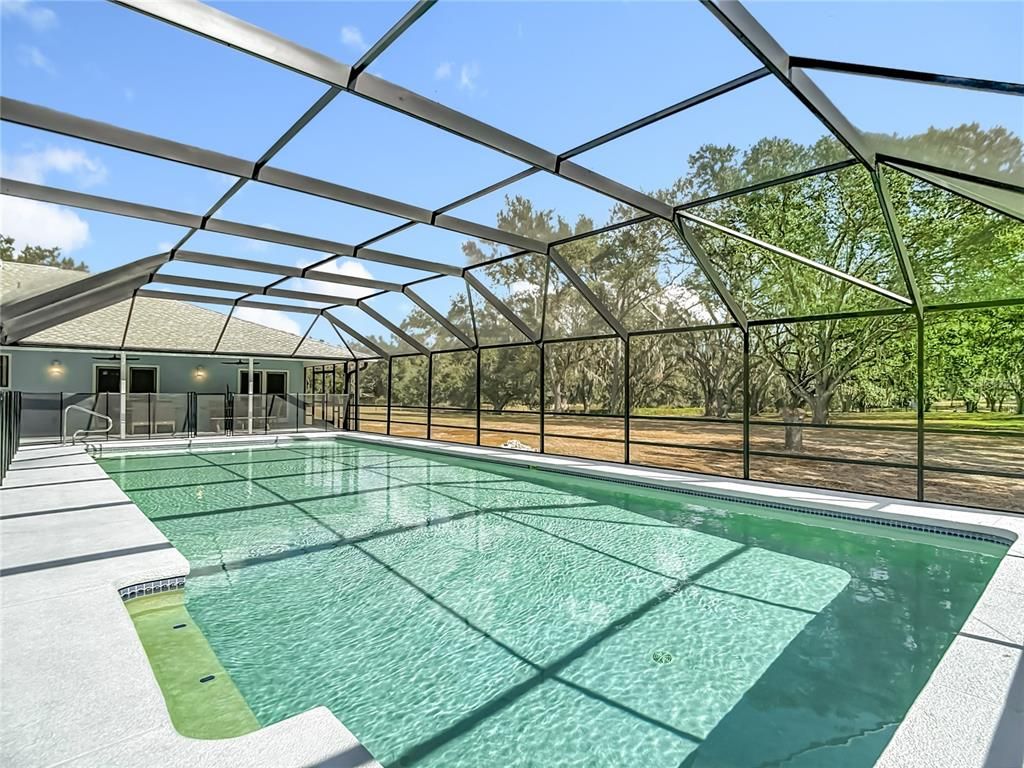 Glass Ceilings, Interior, Pool, Sun Room