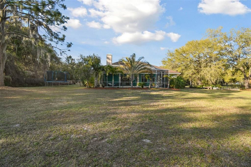 Backyard, Exterior, Playground