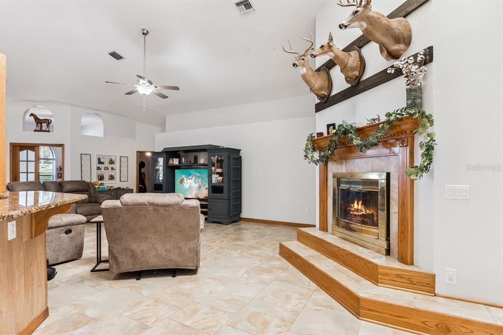 Fireplace, Interior, Living room