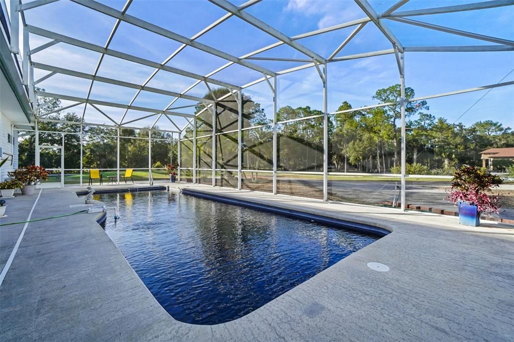 Glass Ceilings, Interior, Pool, Sun Room