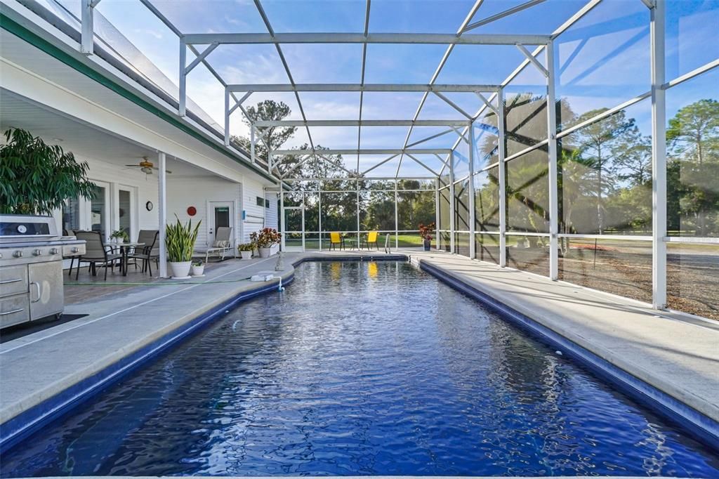 Glass Ceilings, Interior, Pool, Sun Room