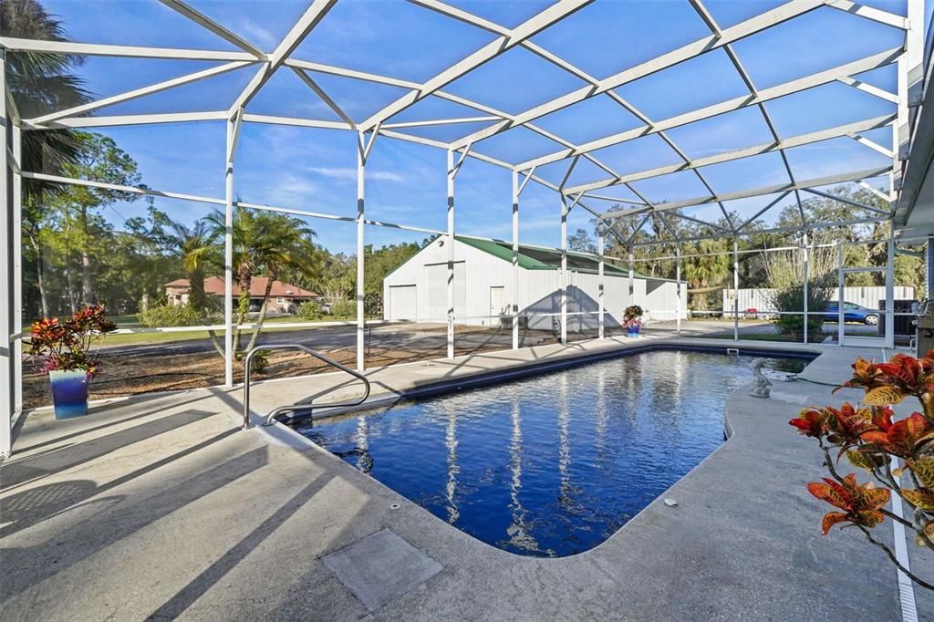 Glass Ceilings, Interior, Pool, Sun Room