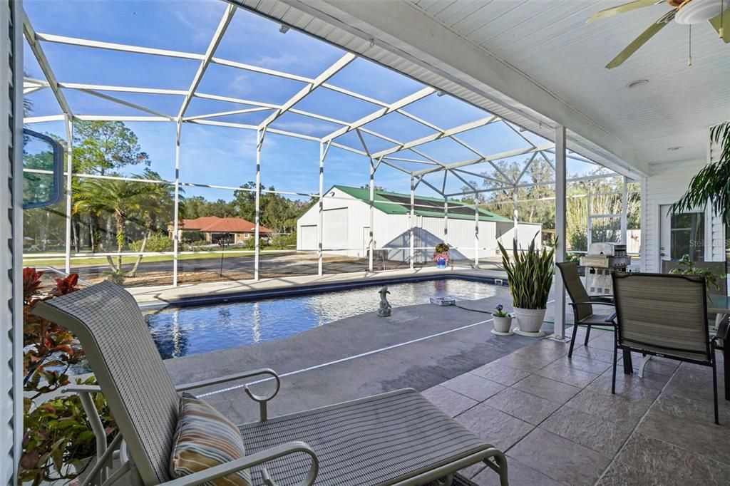 Glass Ceilings, Interior, Pool, Sun Room