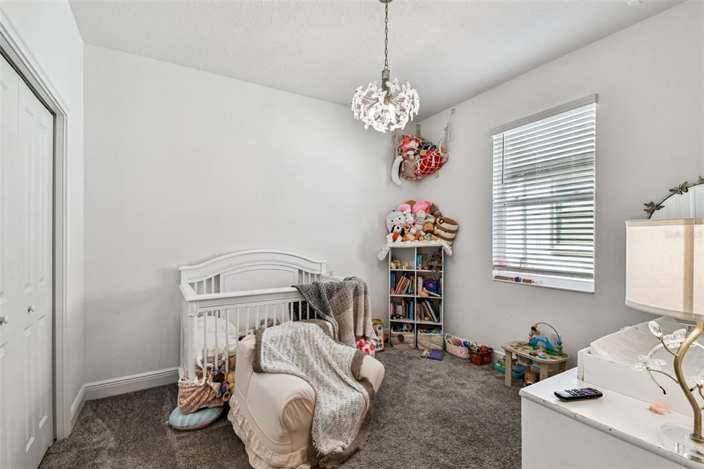 Chandelier, Interior, Pendant Lights