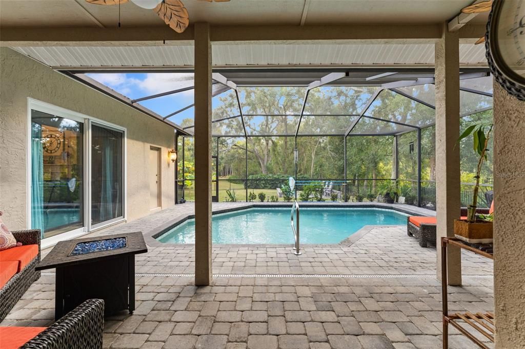 Glass Ceilings, Interior, Pool, Sun Room