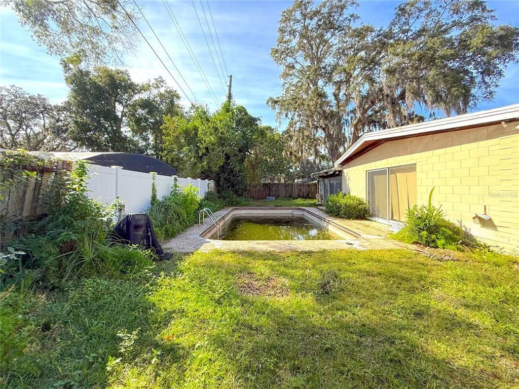 Backyard, Exterior, Pool