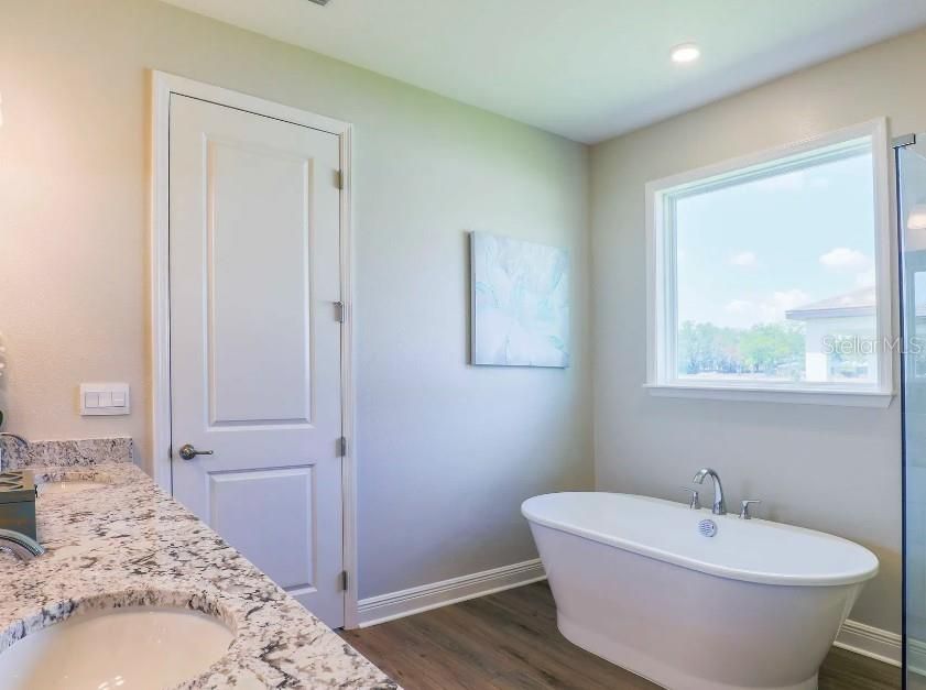 Bathroom, Free Standing Baths, Interior, Recessed Lighting, Wood Texture Flooring