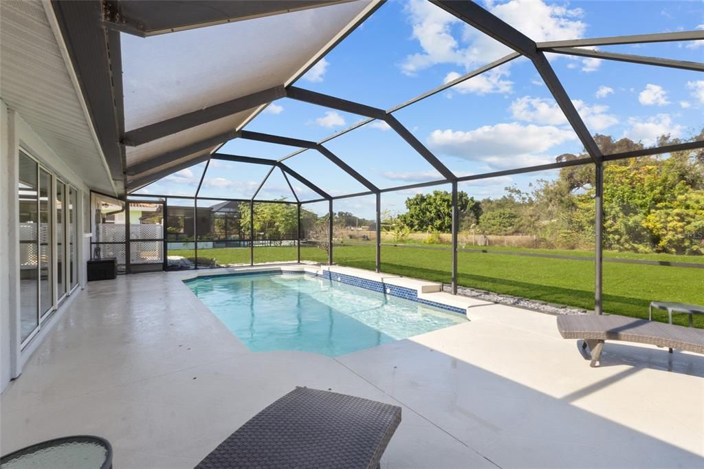 Glass Ceilings, Interior, Pool, Sun Room