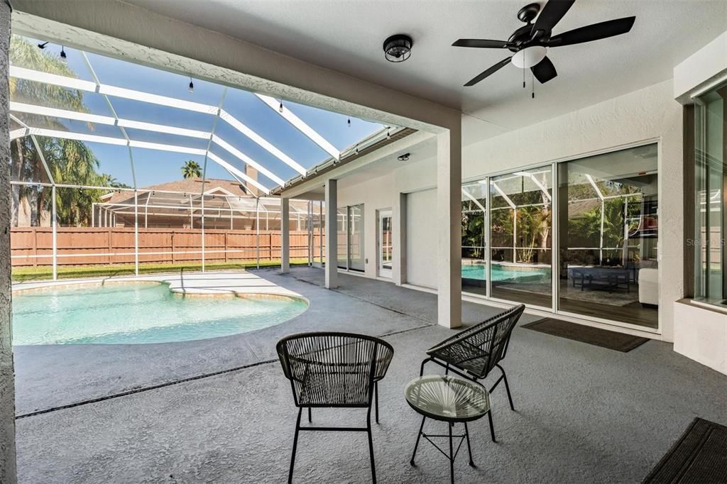 Glass Ceilings, Interior, Pool, Sun Room