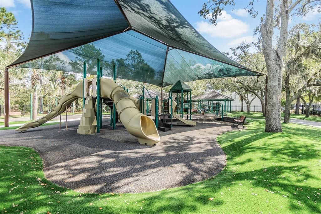 Backyard, Exterior, Playground