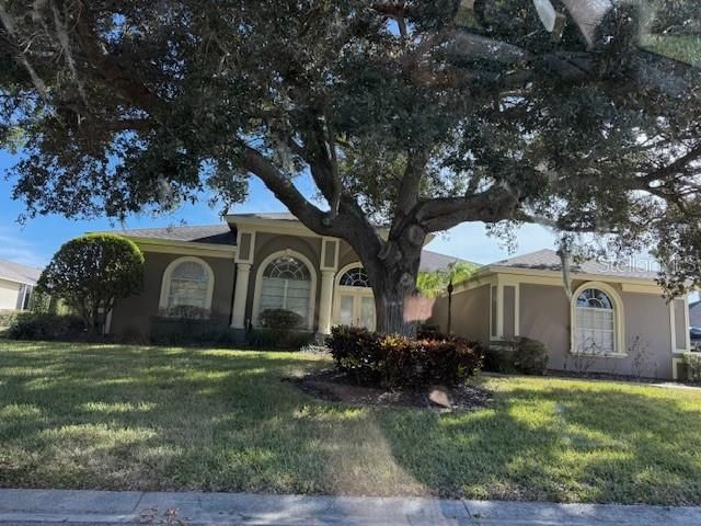 Backyard, Exterior, Facade, Ranch