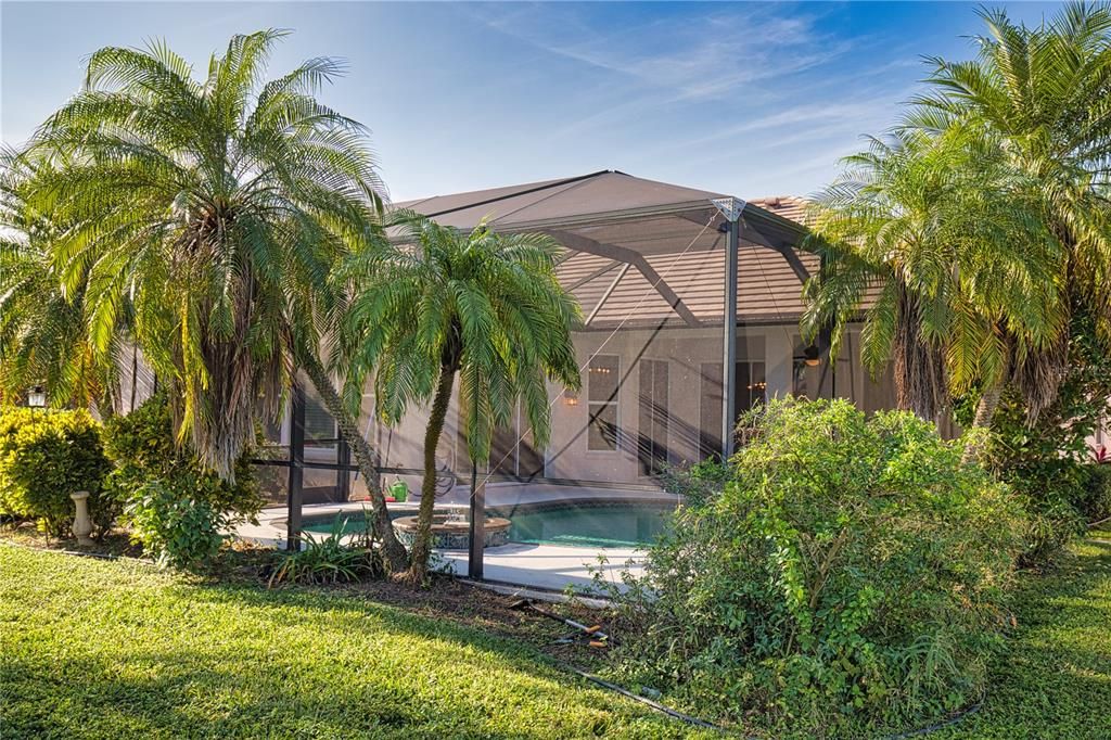 Backyard, Exterior, Pool