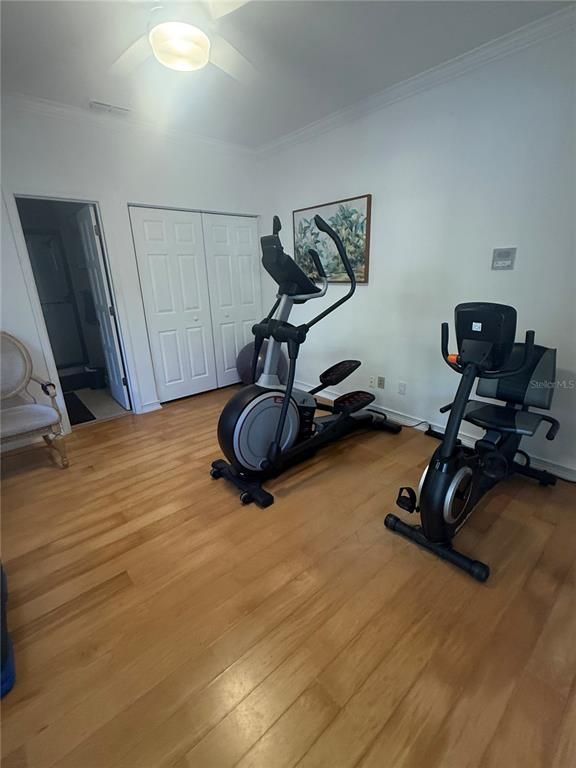 Fitness Equipment, Interior, Wood Texture Flooring