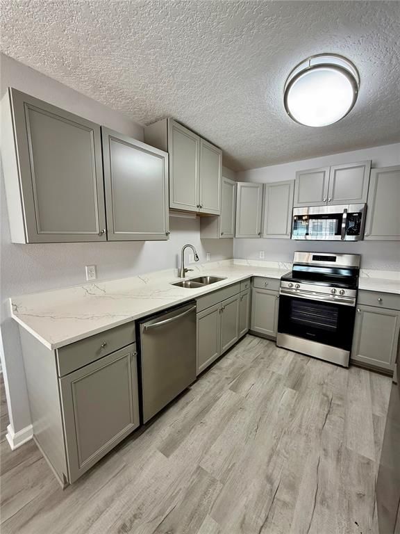 Interior, Kitchen, Stainless Steel Appliances, Wood Texture Flooring