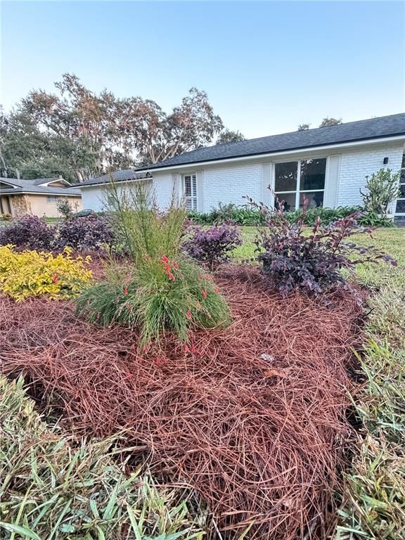 Backyard, Exterior, Water