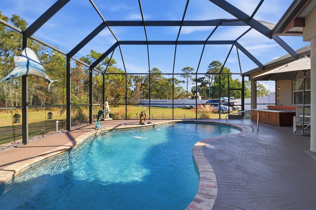 Glass Ceilings, Interior, Pool, Sun Room