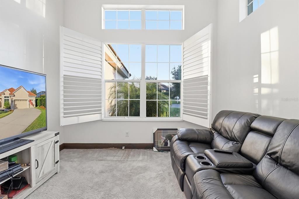 Home Theatre Room, Interior