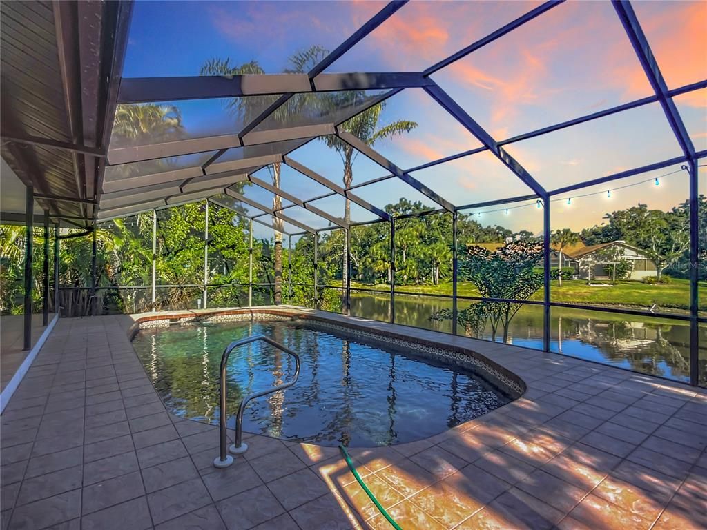 Glass Ceilings, Interior, Pool, Sun Room, Water