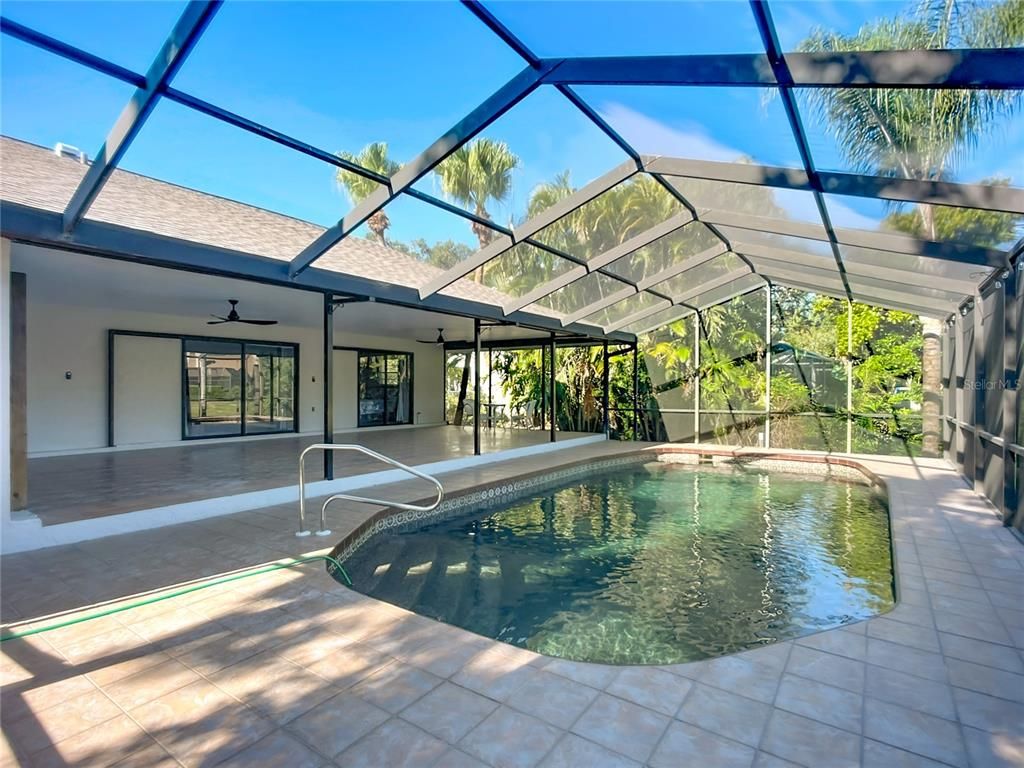 Glass Ceilings, Interior, Pool, Sun Room