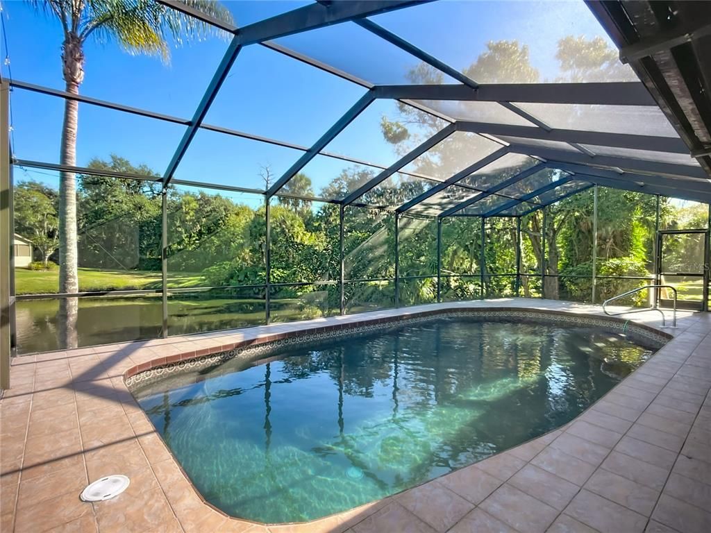 Glass Ceilings, Interior, Pool, Sun Room