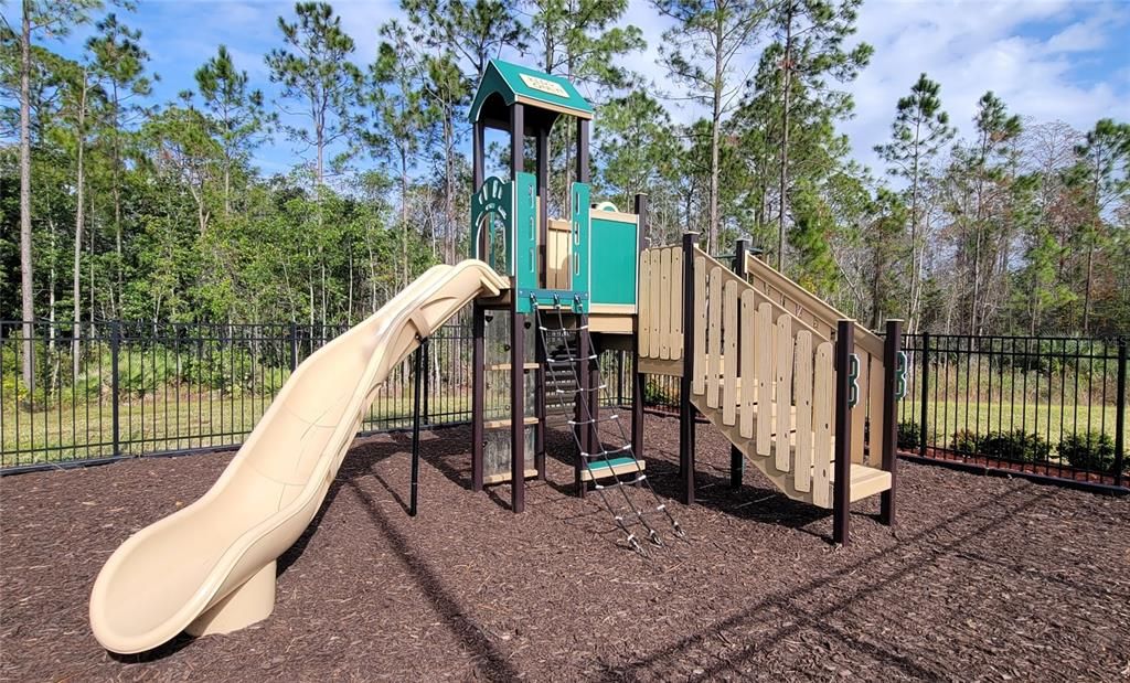 Backyard, Exterior, Playground
