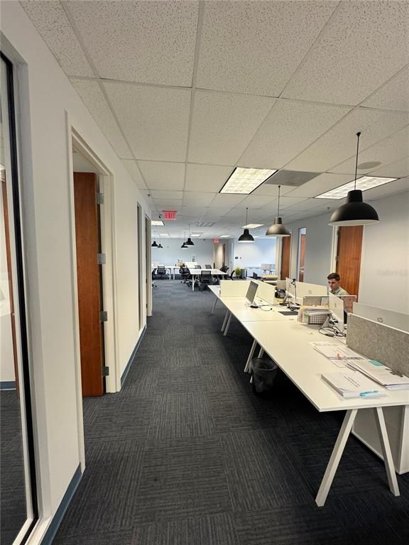 Interior, Pendant Lights