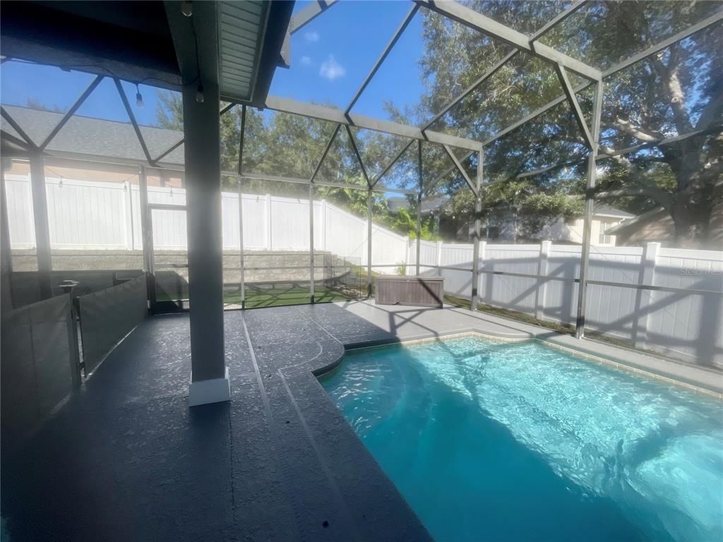 Glass Ceilings, Interior, Pool, Sun Room