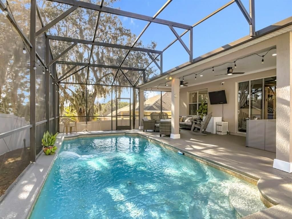 Glass Ceilings, Interior, Pool, Sun Room