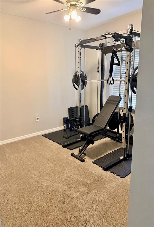 Fitness Equipment, Interior