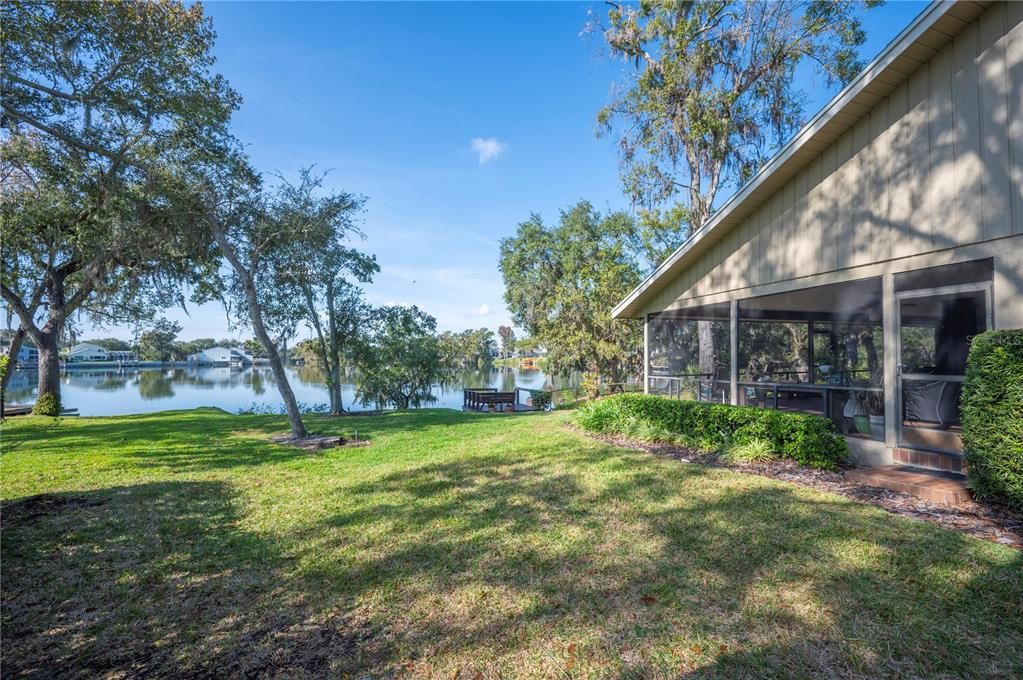 Backyard, Exterior, Water