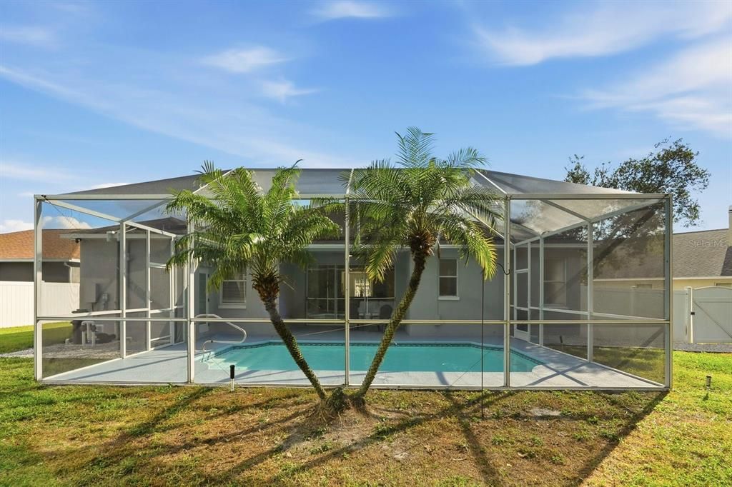 Backyard, Exterior, Pool