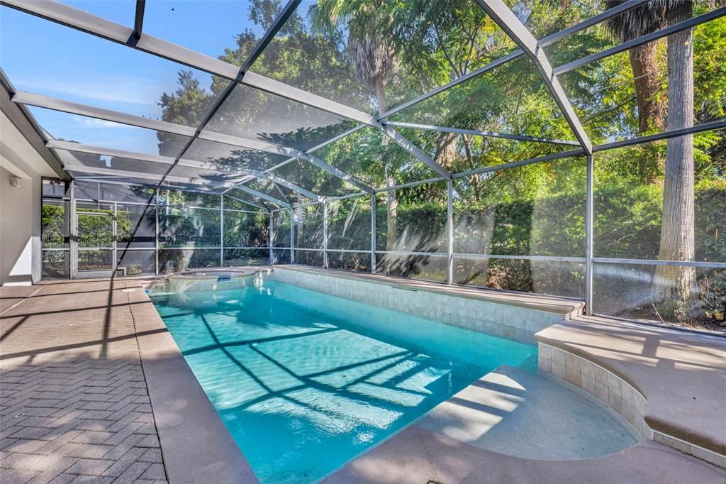 Glass Ceilings, Interior, Pool, Sun Room
