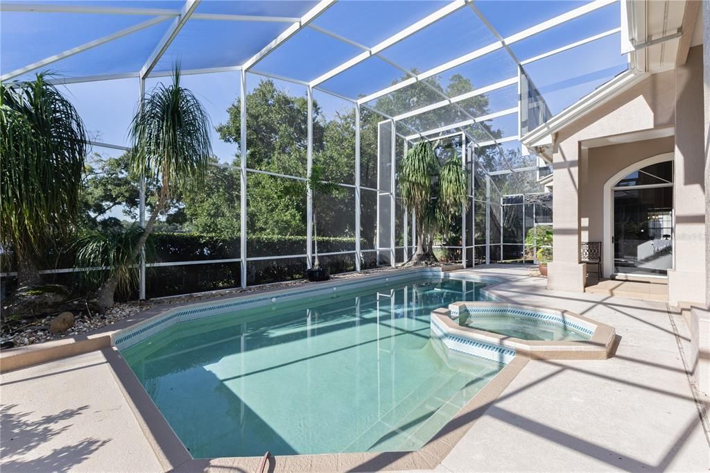 Glass Ceilings, Interior, Pool, Sun Room