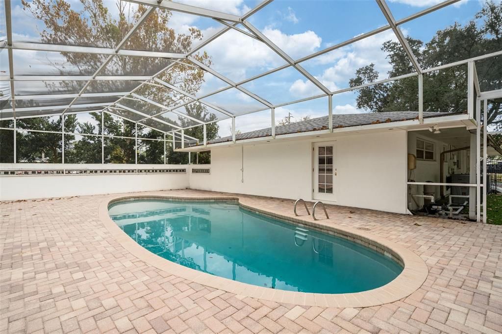 Glass Ceilings, Interior, Pool, Sun Room