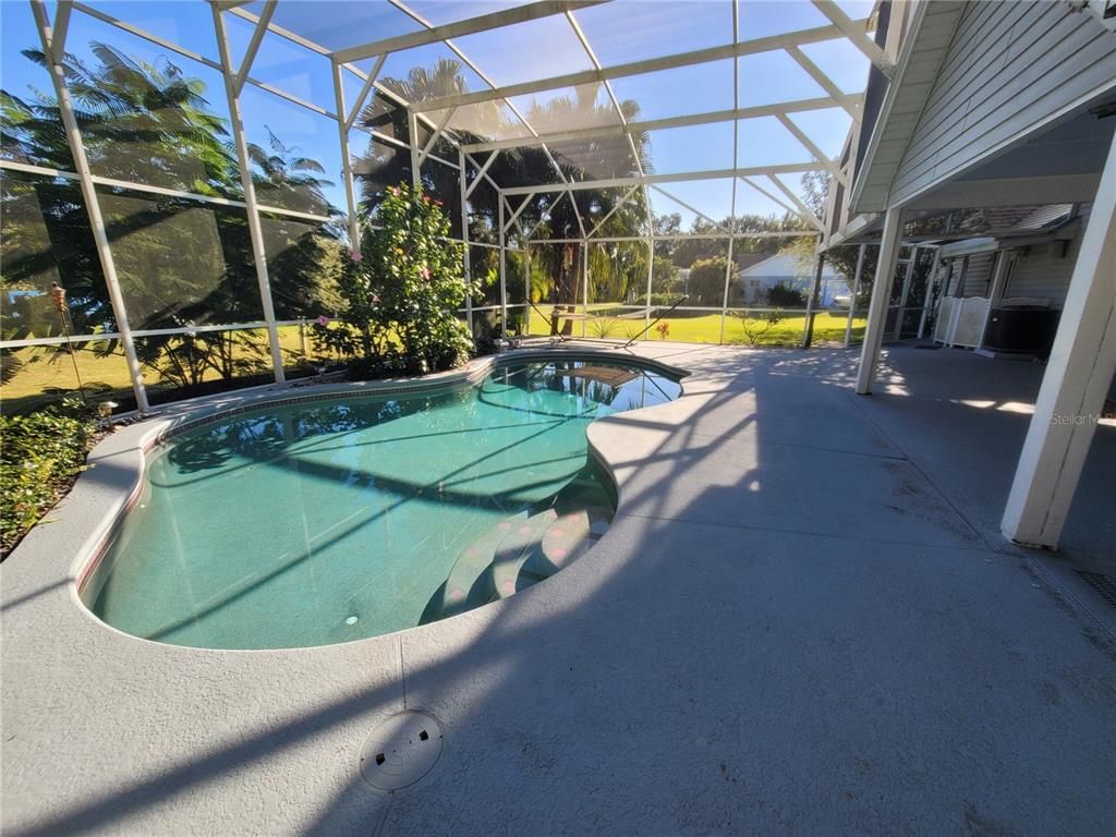 Glass Ceilings, Interior, Pool, Sun Room