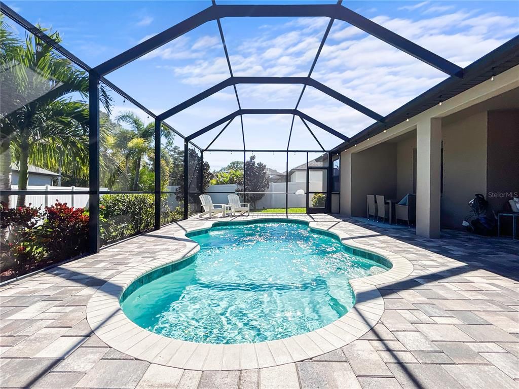 Glass Ceilings, Interior, Pool, Sun Room