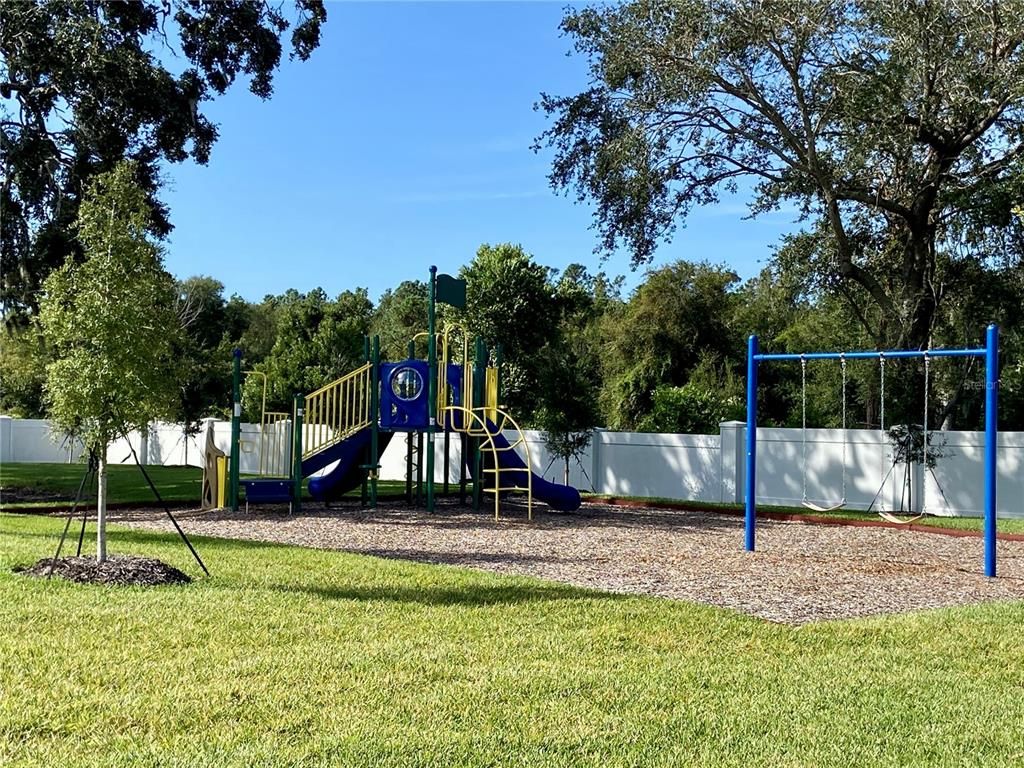 Backyard, Exterior, Playground